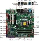 Intel H310C Chipset Micro ATX Motherboard 64 GB Max-Speicher LGA 1151 Steckdose